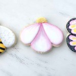 arty-mcgoo-u-cookie-decorating-march-2017